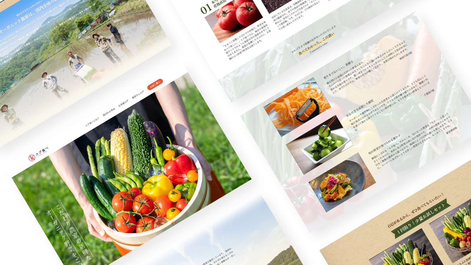 スグ食べ_モックアップ